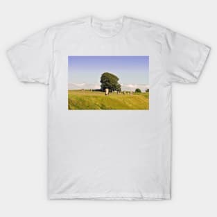 Avebury Stone Circle Wiltshire England T-Shirt